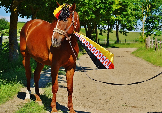 但四周設置 但四周設置