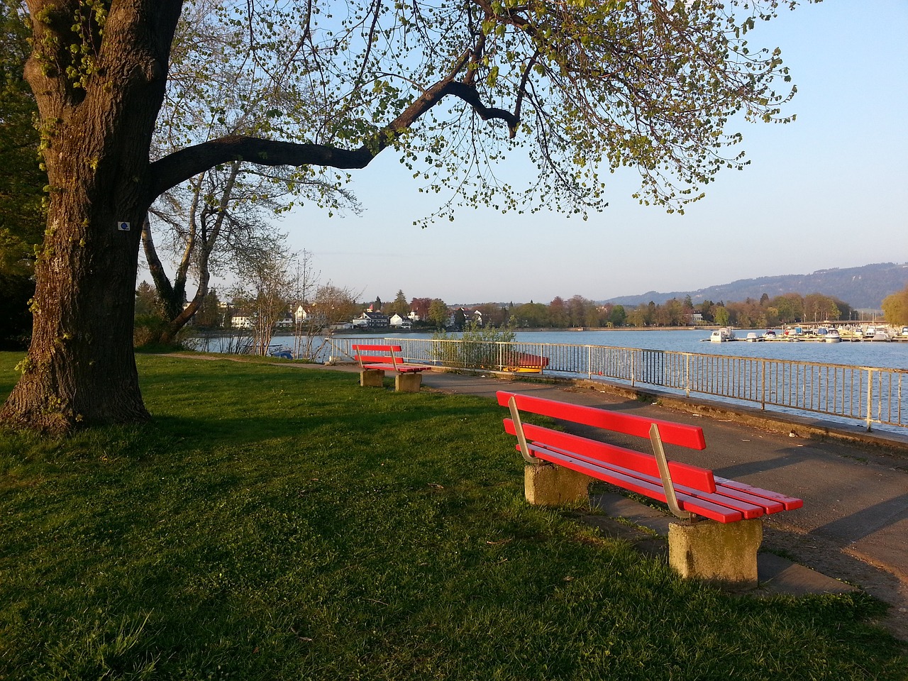 味着面对的 味着面对的