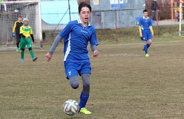 职业生涯的 职业生涯的