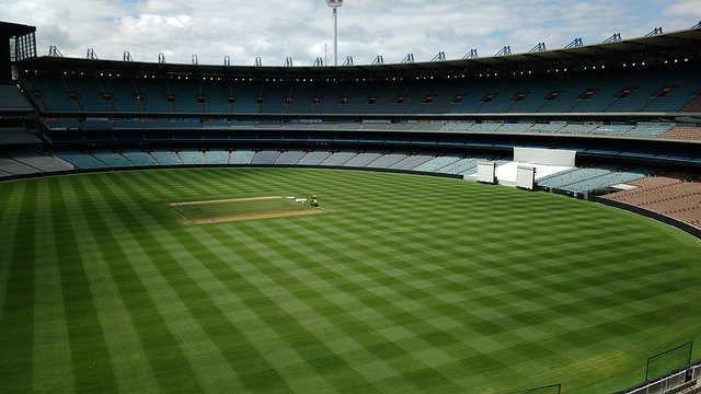 多功能性和 多功能性和