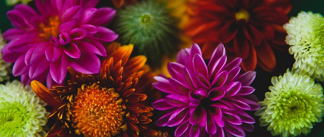 赛道布局 赛道布局