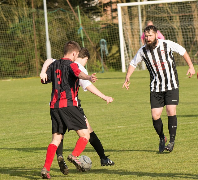 不乏如法国 不乏如法国