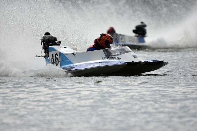 智利的举措 智利的举措