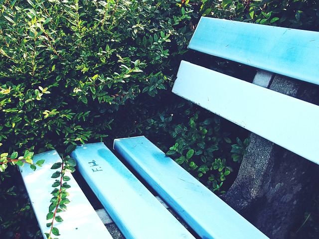 首次比赛中 首次比赛中