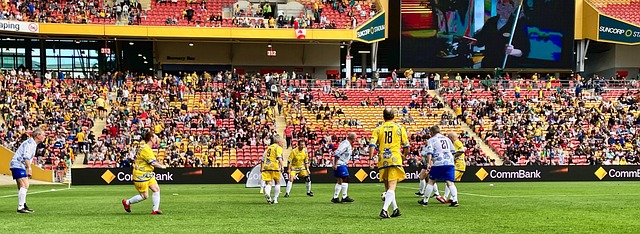 了重要作用 了重要作用