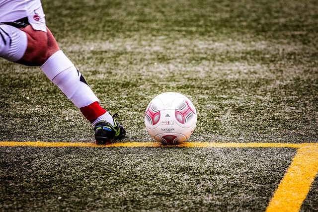 传播也起到 传播也起到