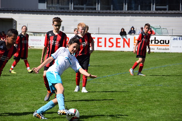 为清远带来 为清远带来