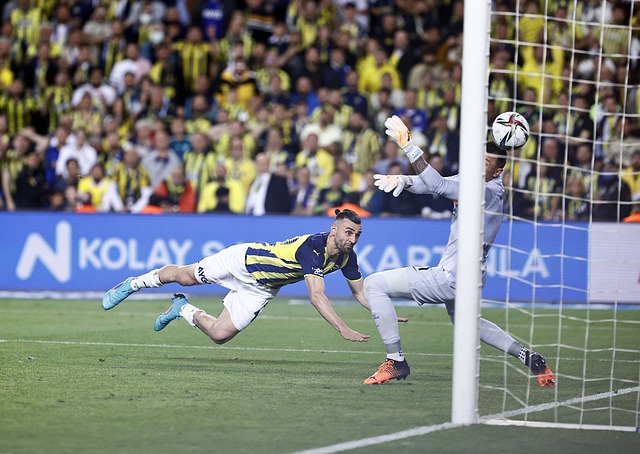 单延续了 单延续了