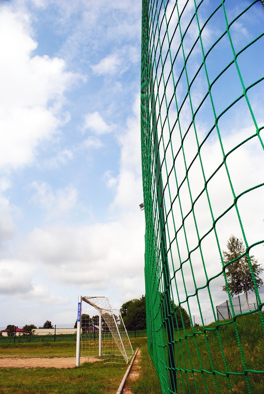 了这笔投资 了这笔投资