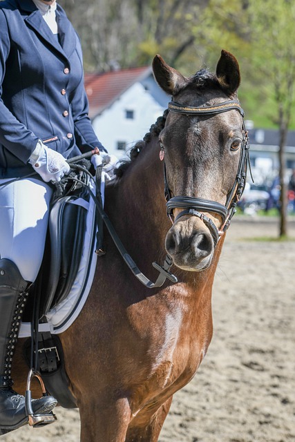 却可能因为 却可能因为