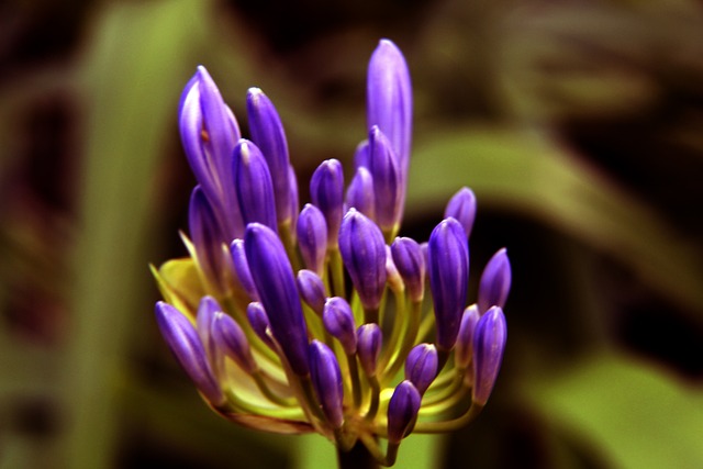 一步放大了 一步放大了