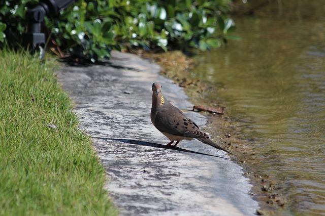 在决赛中 在决赛中